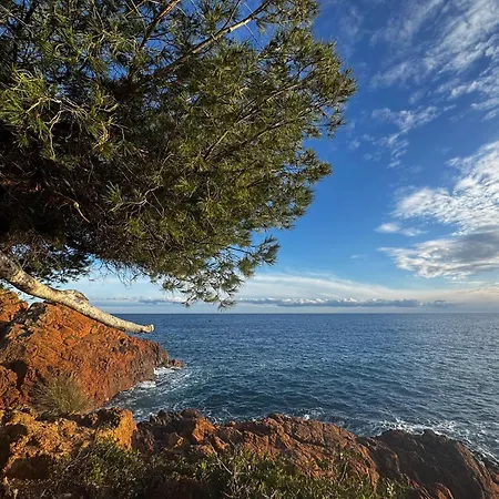 Beau T2 Au Domaine De Valescure * Saint-Raphaël